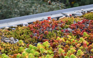 the cost of Peterchurch green roof installation