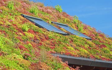 Peterchurch living roof systems